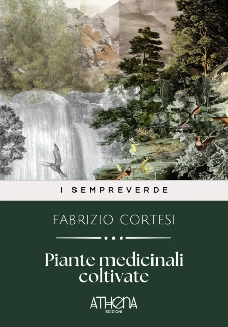 Piante medicinali coltivate